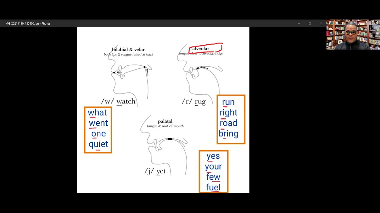 English Consonants_ Approximants — /l/, /ɹ/, /j/, /w/