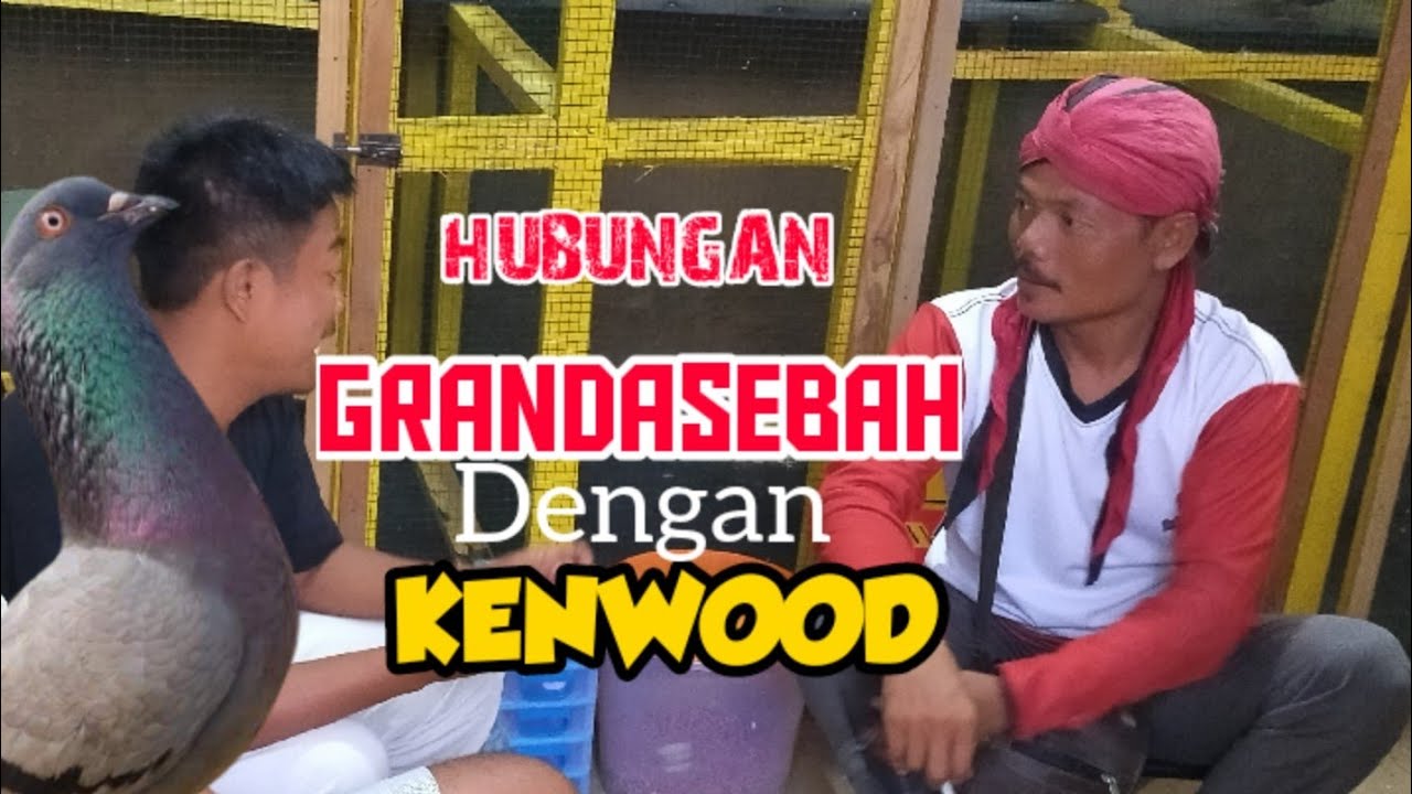 Meniliki GRANDASEBAH burung paling viral di penghujung tahun 2020