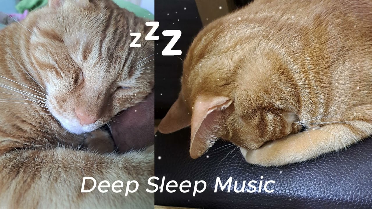 불면증 타파! 꿀 수면! Deep Sleep Music📀9th Relaxing Music  Healing Music 깊은 잠!