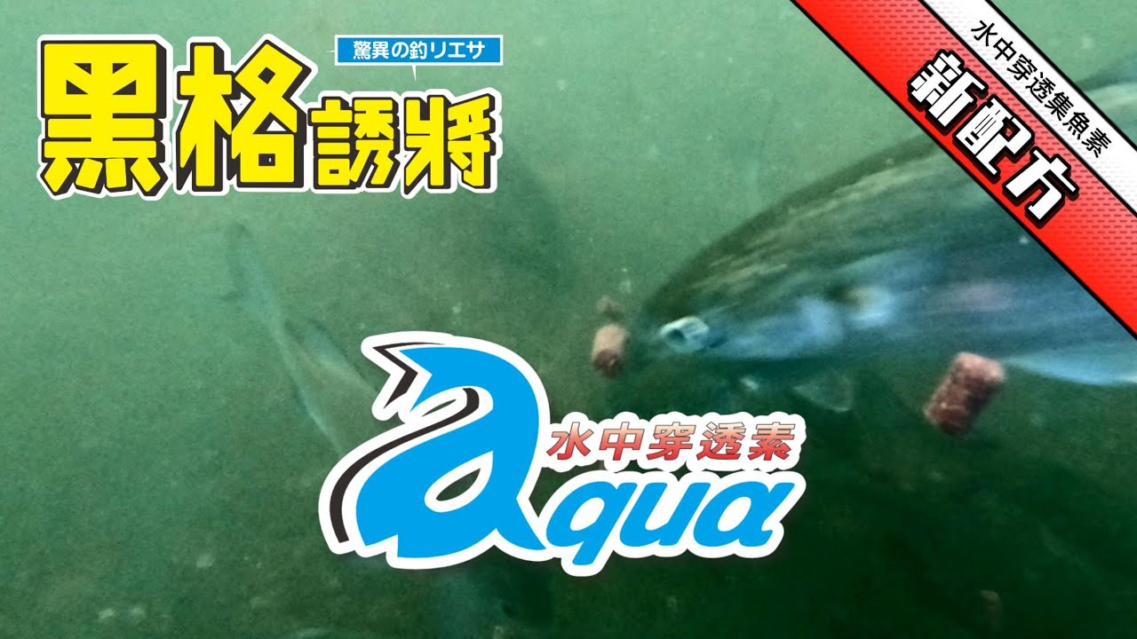 #5302【夏季磯釣】用對方法，魚也瘋狂！㊙️揭秘黑格粒生產製程！『黑格誘將』『黑格師』使用教學示範！Pellets bait for sea fishing 【磯釣誘餌 輕鬆上手】(第7集)