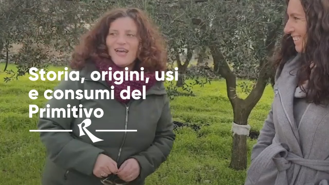 Pietraventosa, Gioia del Colle, Puglia - storia, origini, usi e consumi del Primitivo.
