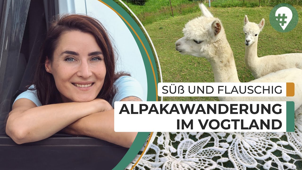 Van Life: Alpakas und Plauen im Vogtland | #hinREISEND