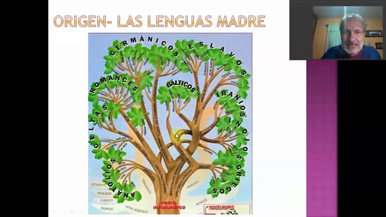 ETIMOLOGÍAS  CONCEPTO Y OBJETO DEL ESTUDIO