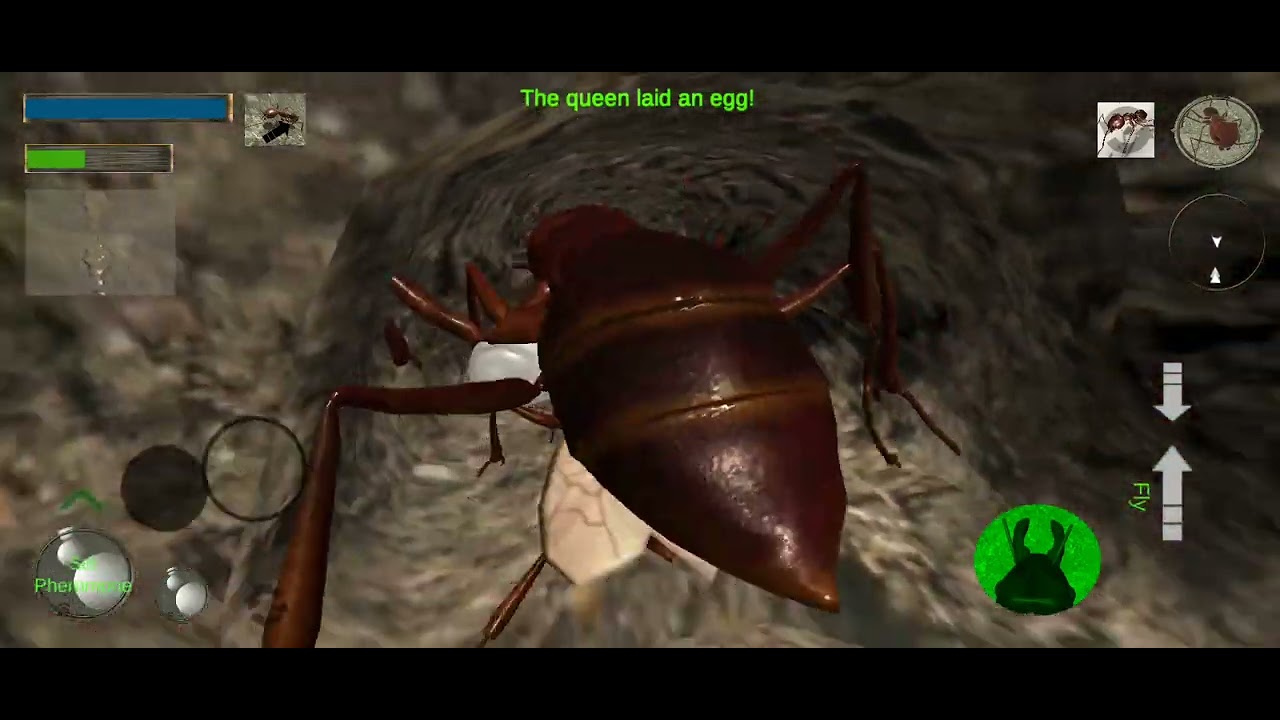 ant simlation 3d full camponotus male  part 2