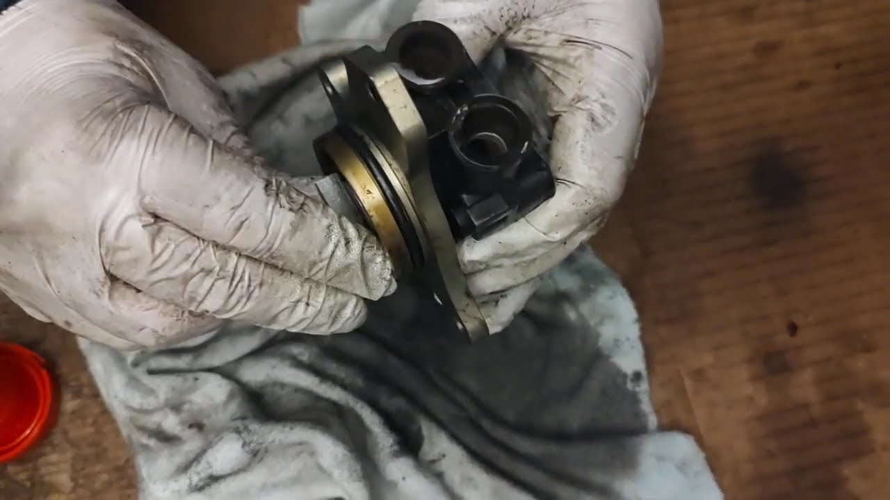 Niederdruck diesel pumpe reinigen /Low pressure diesel pump cleaning