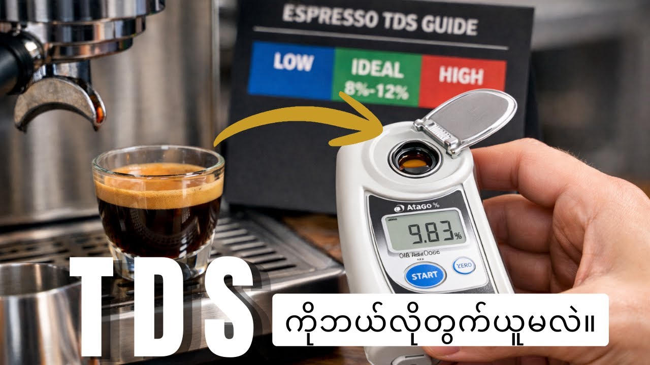 ကော်ဖီကောင်းတစ်ခွက်ရဖို့ TDS ကို မမေ့ပါနဲ့ ☕ | Never forget to test TDS in Coffee