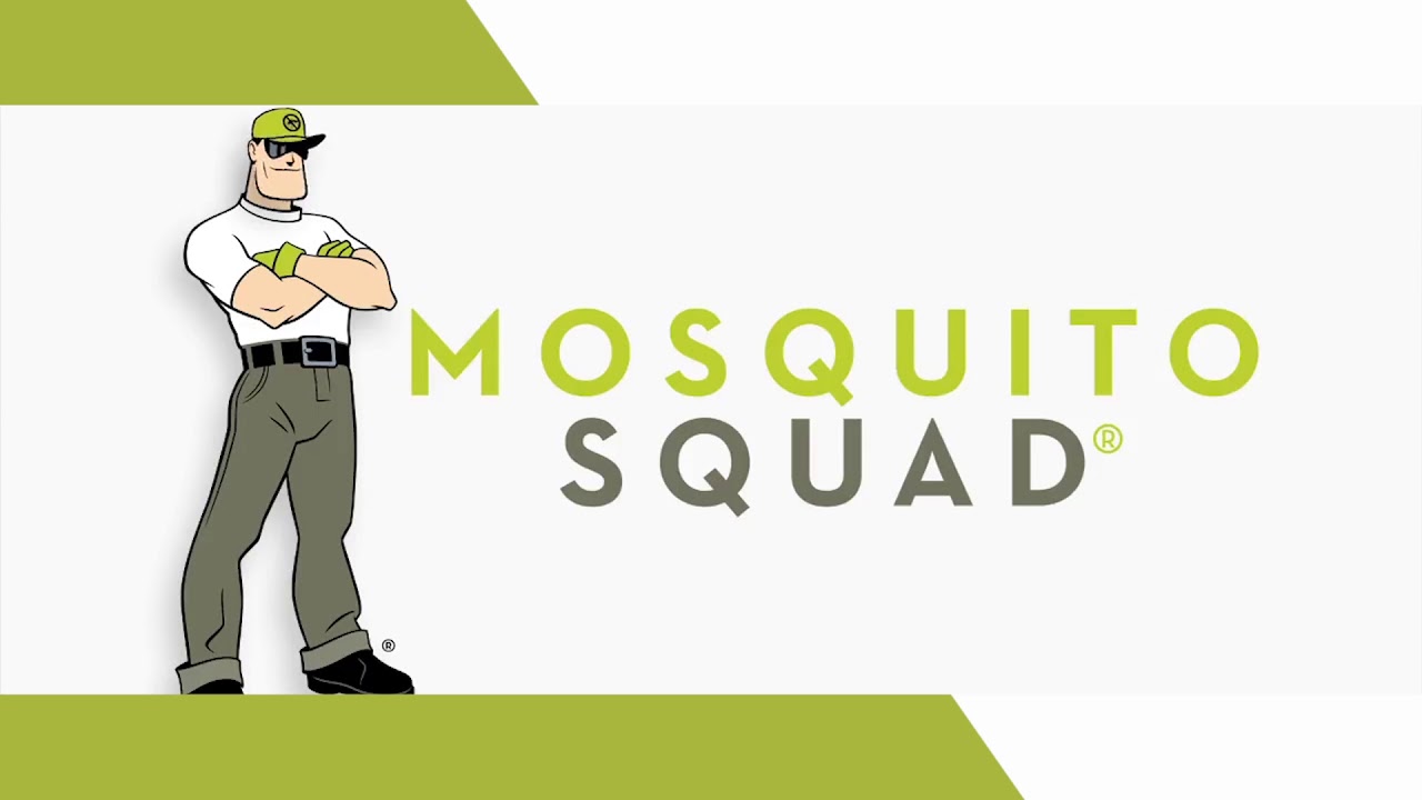 Home Mosquito Control in Cypress Texas ~ Bug Free Backyard