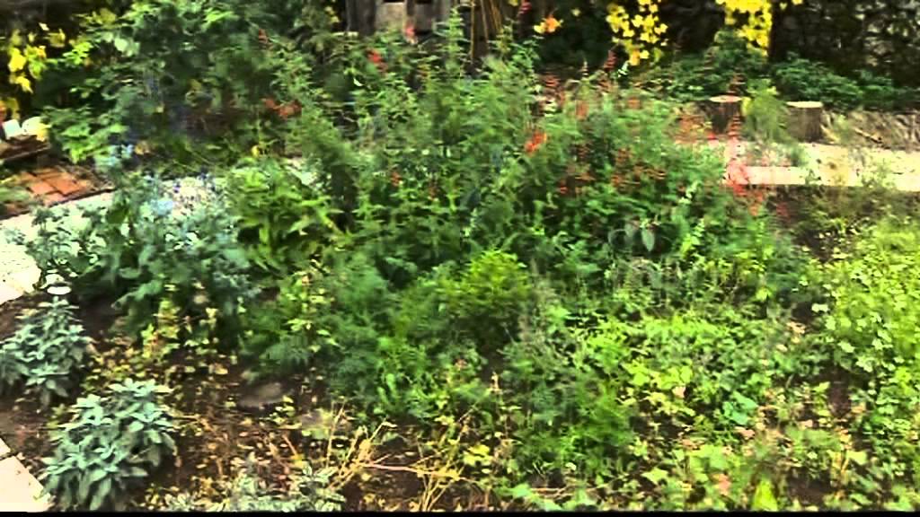 Na potep: med Brkini in Krasom v vas Kačiče.