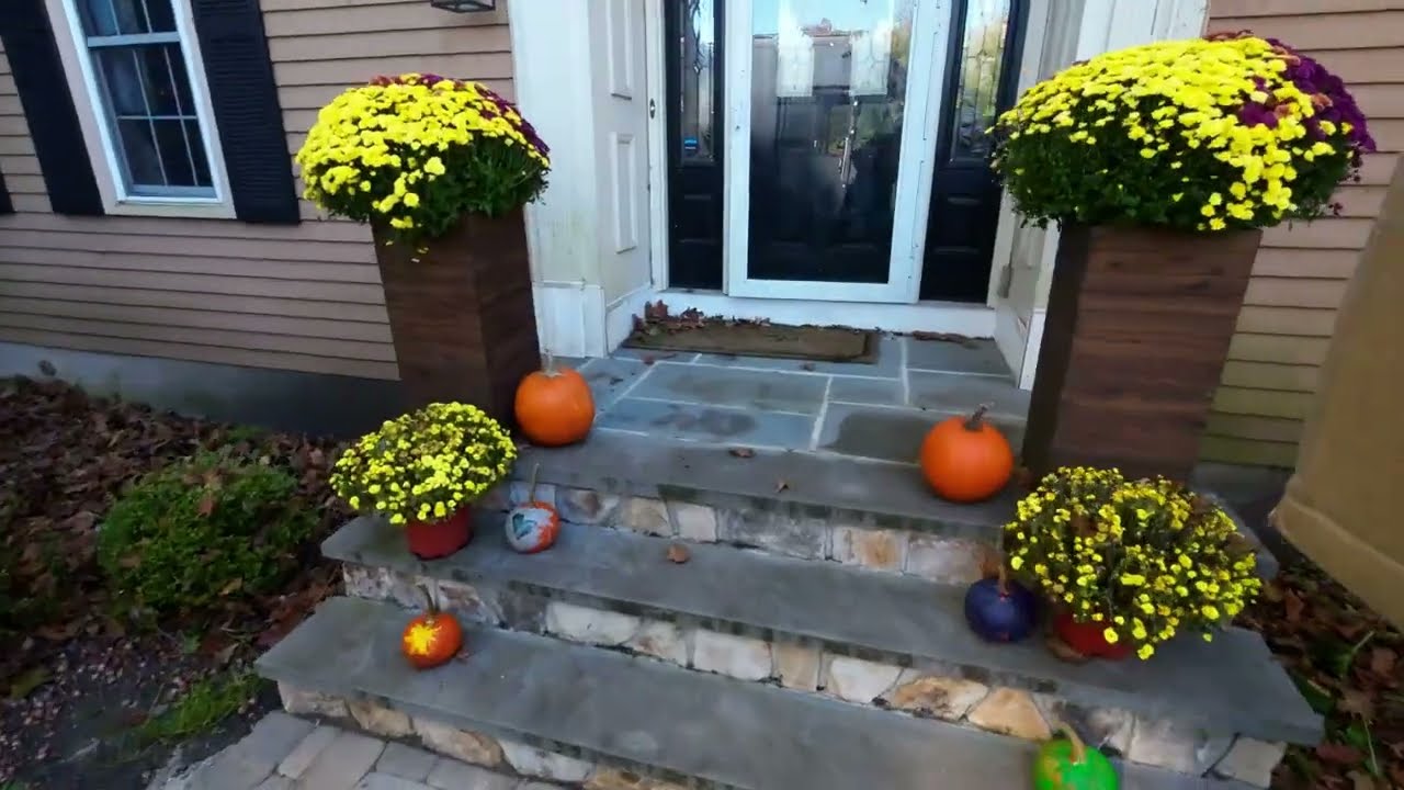 One More Day At Amazon