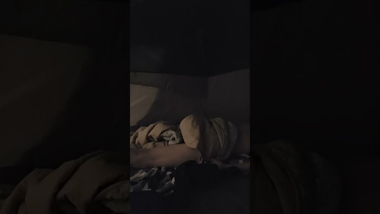 Solo tent camping Wilderness sleep stream Live. chat. Free My favorite streamer