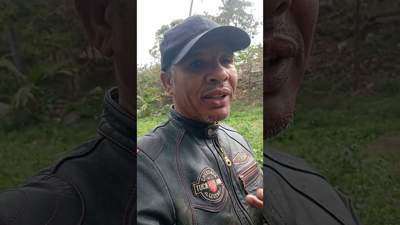 Échale un vistazo a este video y dime qué te parece. 