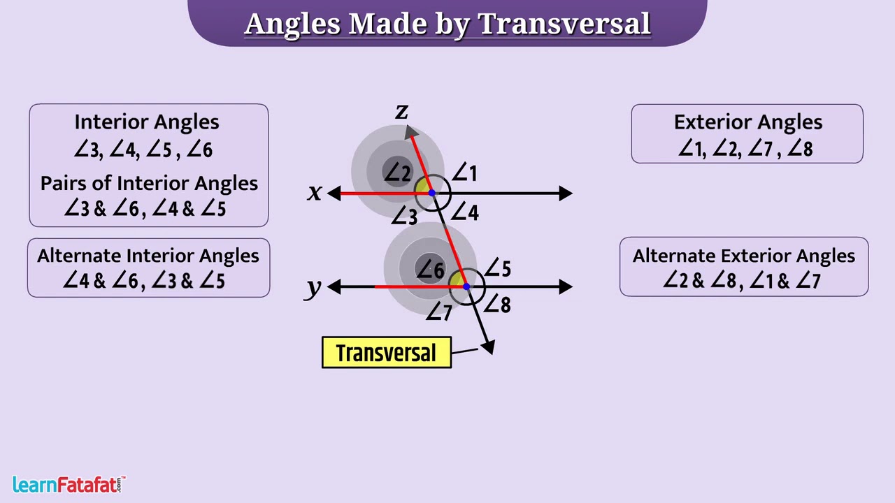 Lines and Angles Class 7 Maths - Transversal and Angles Made by Transversal