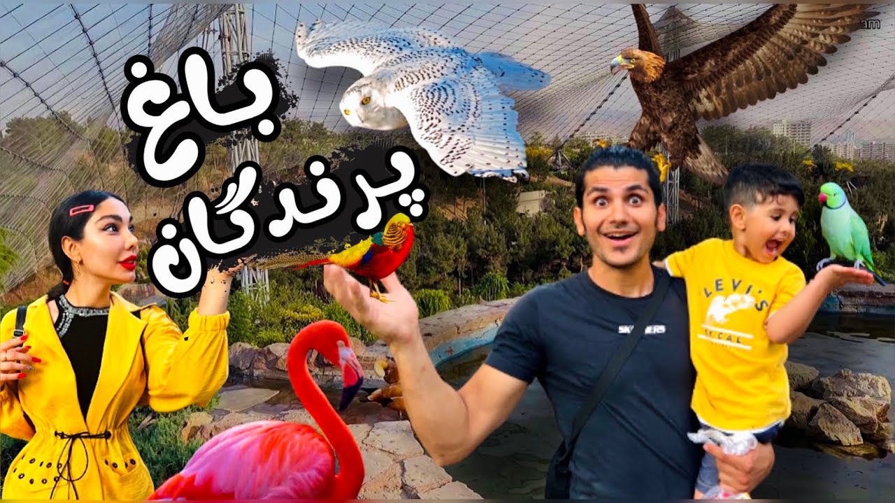 با فلامینگو ها غذا خوردیم🦩😍 ولاگ بزرگترین باغ پرندگان خاورمیانه در تهران Tehran BIRDS Garden