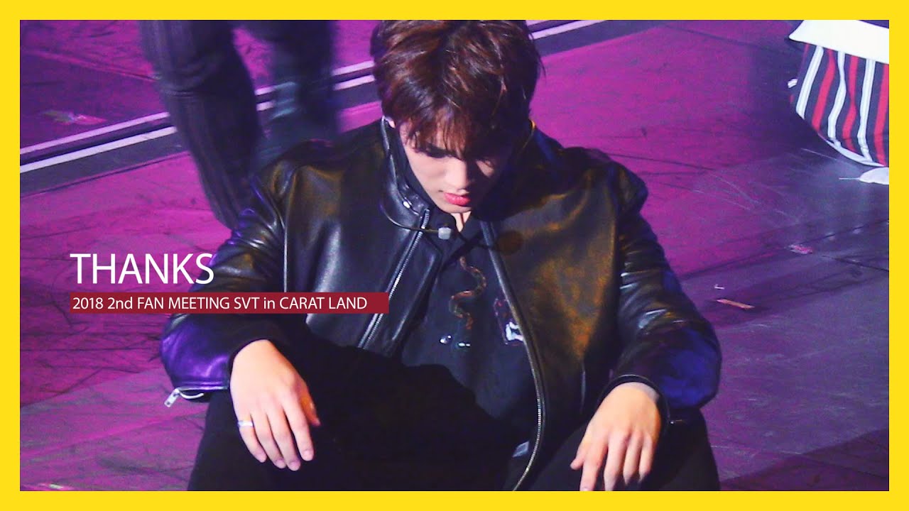 [캐럿랜드 2018] 180203 세븐틴 두 번째 팬미팅 SEVENTEEN in CARAT LAND - 고맙다 민규 focus