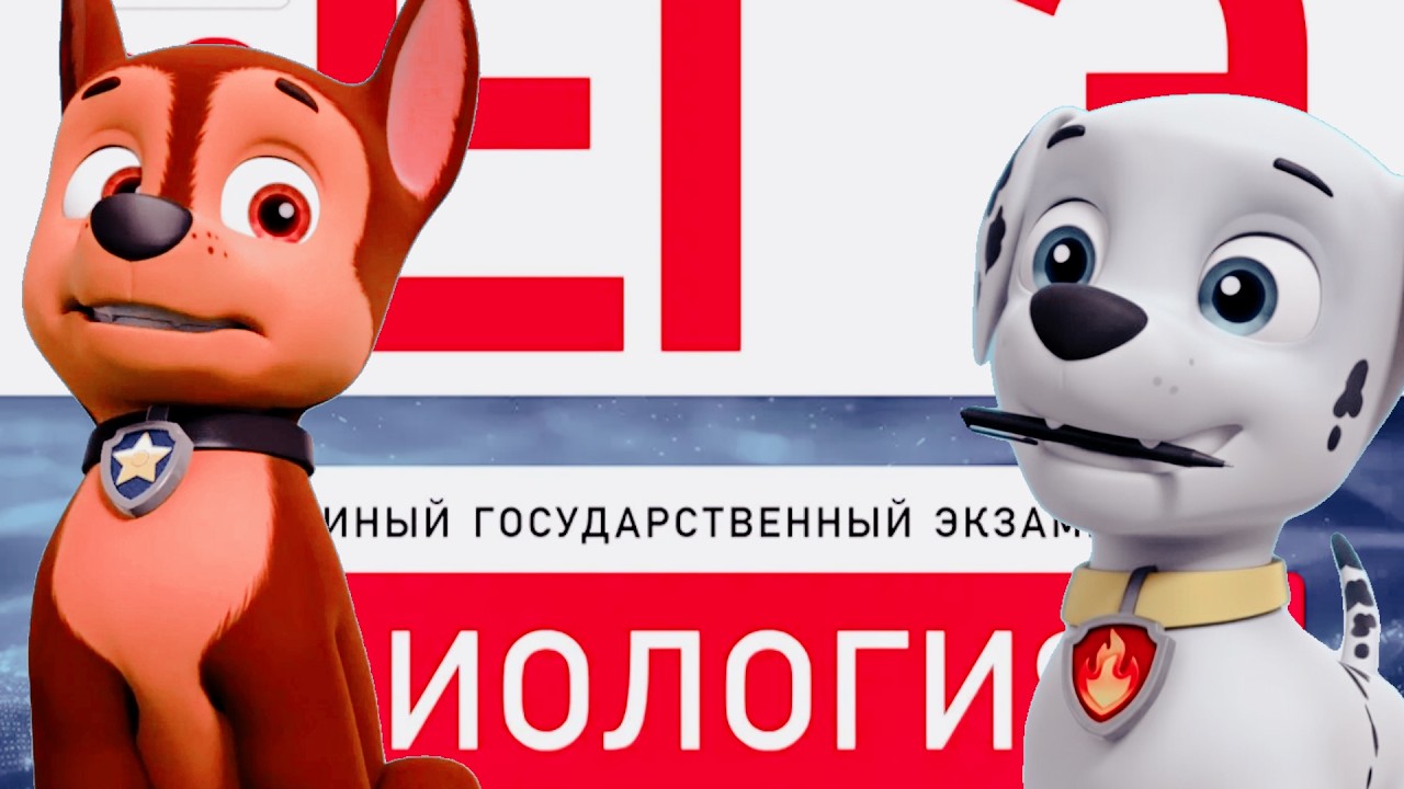 Гончик и  Маршалл-Как сдают ЕГЭ (прикол)
