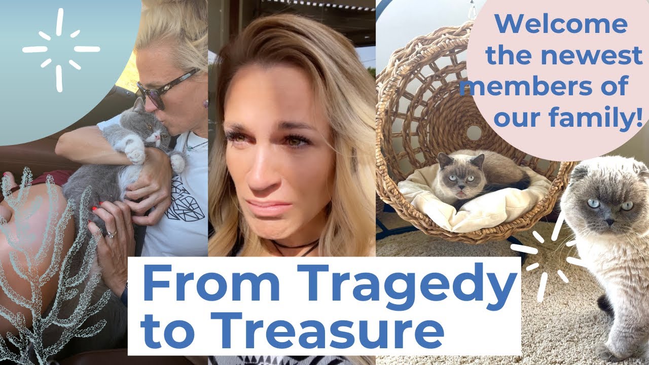 From Tragedy to Treasure 💖 Meet the newest members of our family!