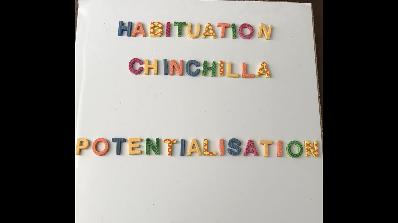 Potentialisation de l'habituation