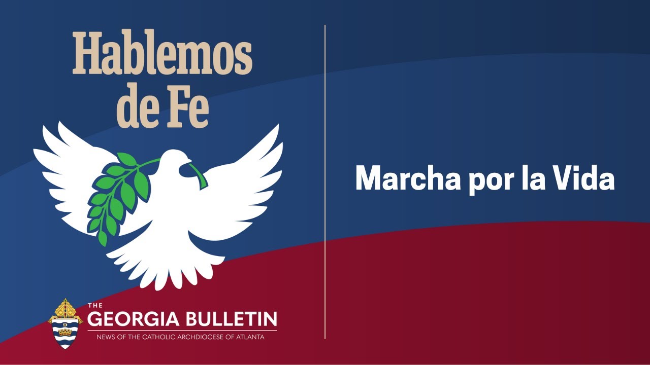 Marcha por la Vida