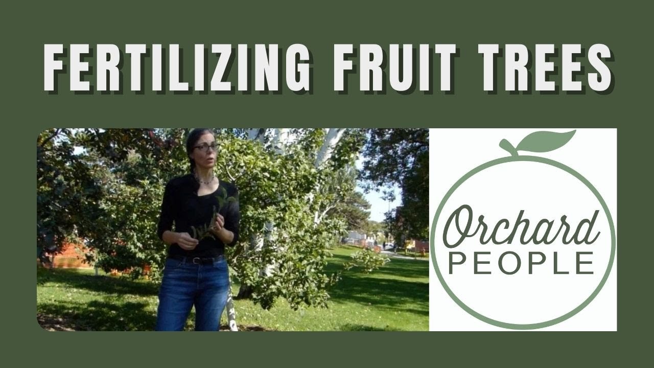 When do you fertilize fruit trees? And how to evaluate nitrogen needs. 🍒 🍏 🌳