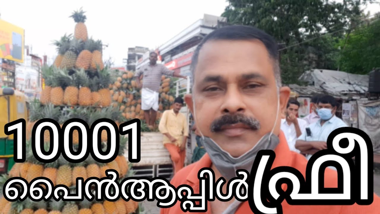 Vazhakulam pineapple | Pineapple city | Low price | Loss |Farmer Suicide | Mathew Kuzhalnadan |
