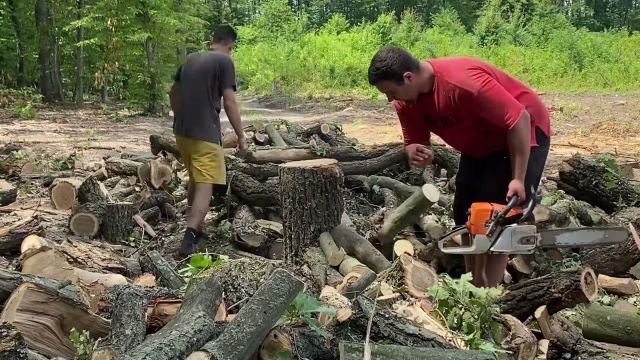 STIHL MS 361 💪💪💪 Cutting small pieces of wood 🪵