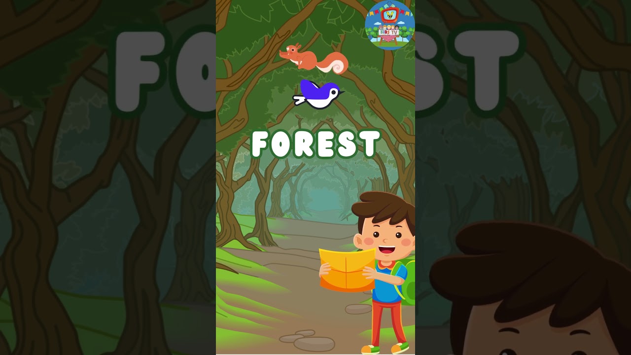 Geography | Geography for kids | Learn English for kids | Kids vocabulary