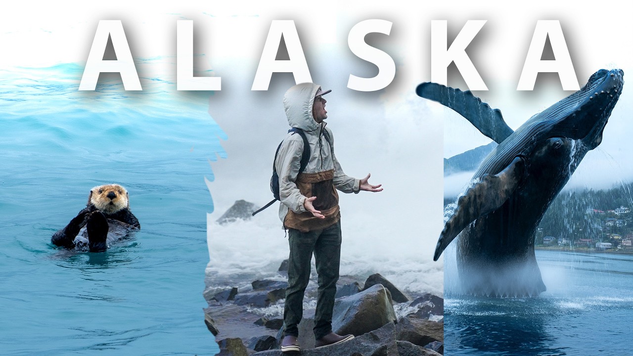 Как спланировать незабываемое путешествие по Аляске на машине и лодке! #alaska #denali #kenaifjords