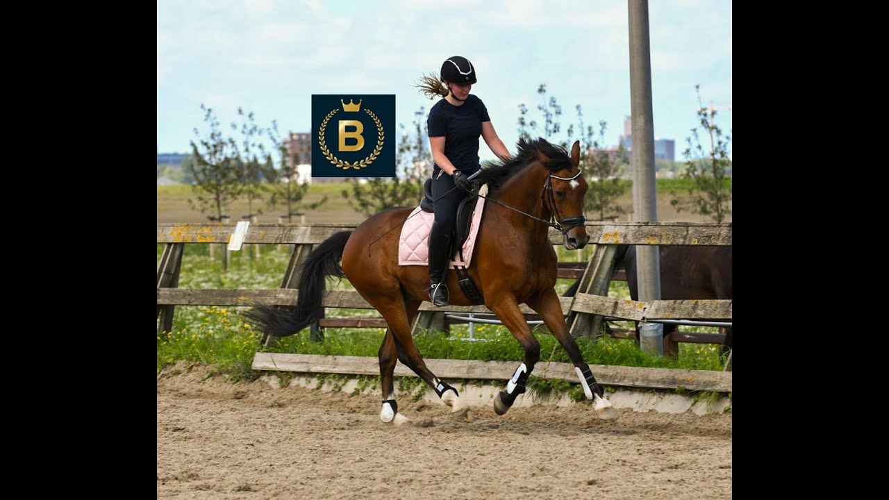 proefje 1 stal groenewoude team kanjer
