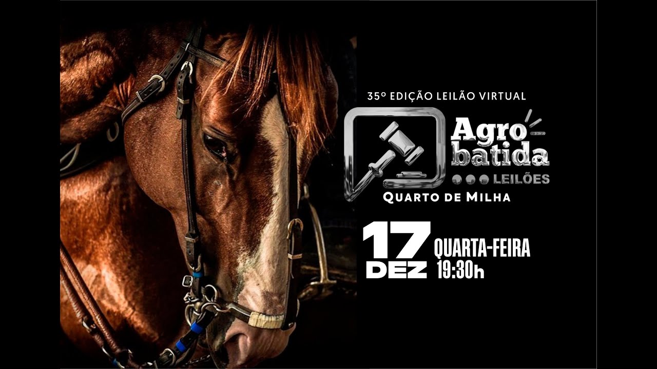 LEILÃO VIRTUAL AGROBATIDA 35º EDIÇÃO