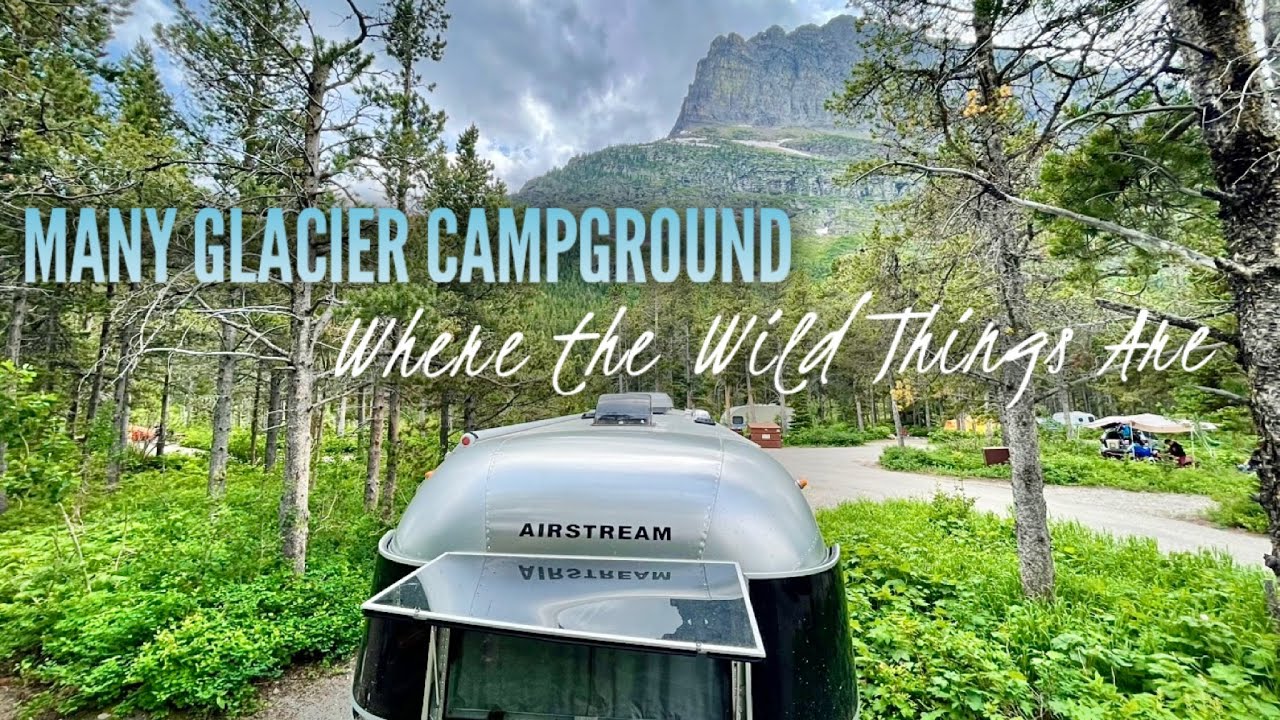 😱 Can We Even Get Out of Here?/Wild Camping at Many Glacier/ Grizzly Bears🐻Camping with Moose
