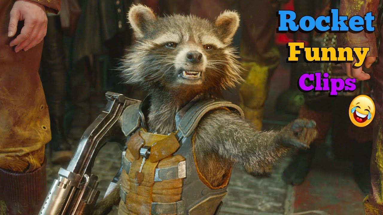 Rocket Best Clips From Guardian the galaxy || Fun Beast