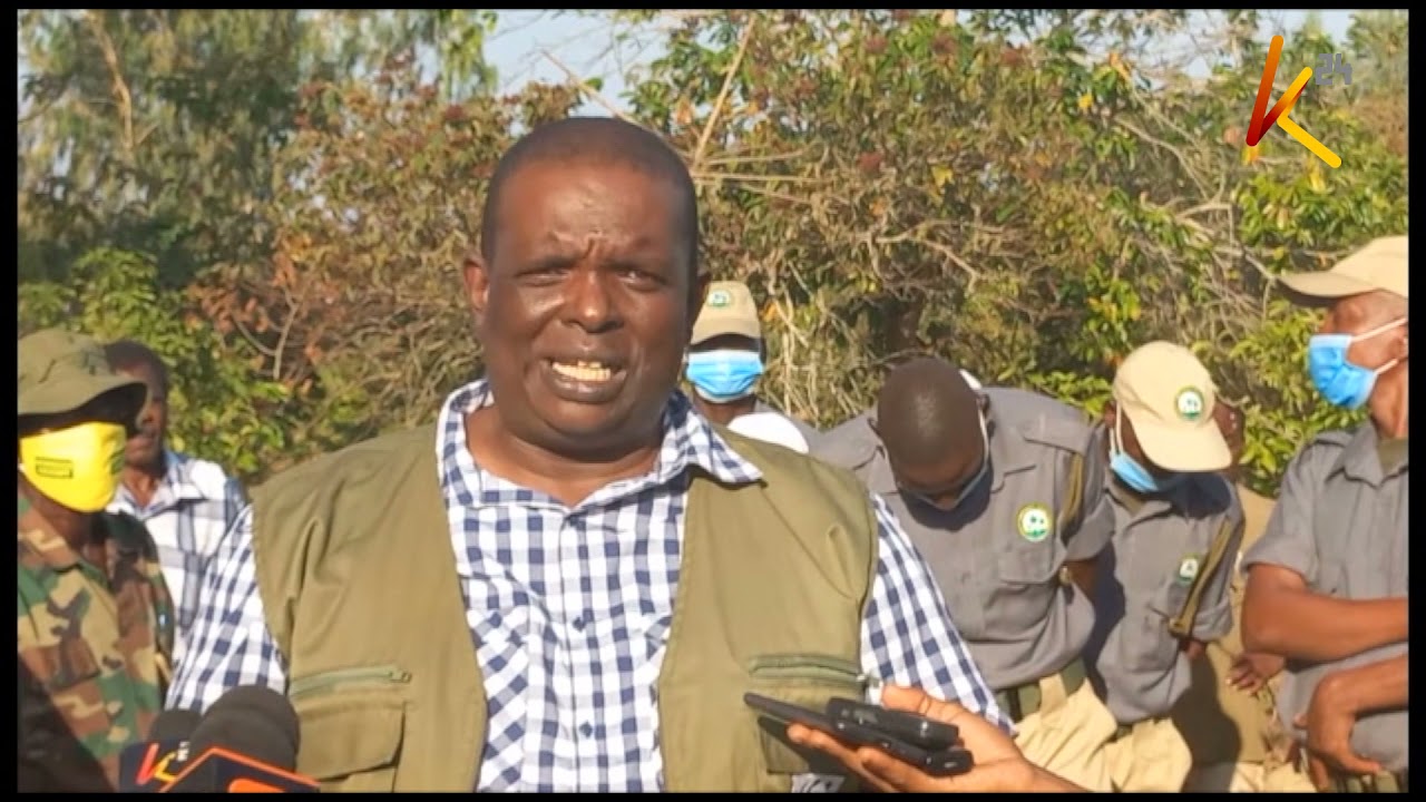 Residents of Kwale allowed to monitor  Dzombo hill forest at the comfort of their phones.