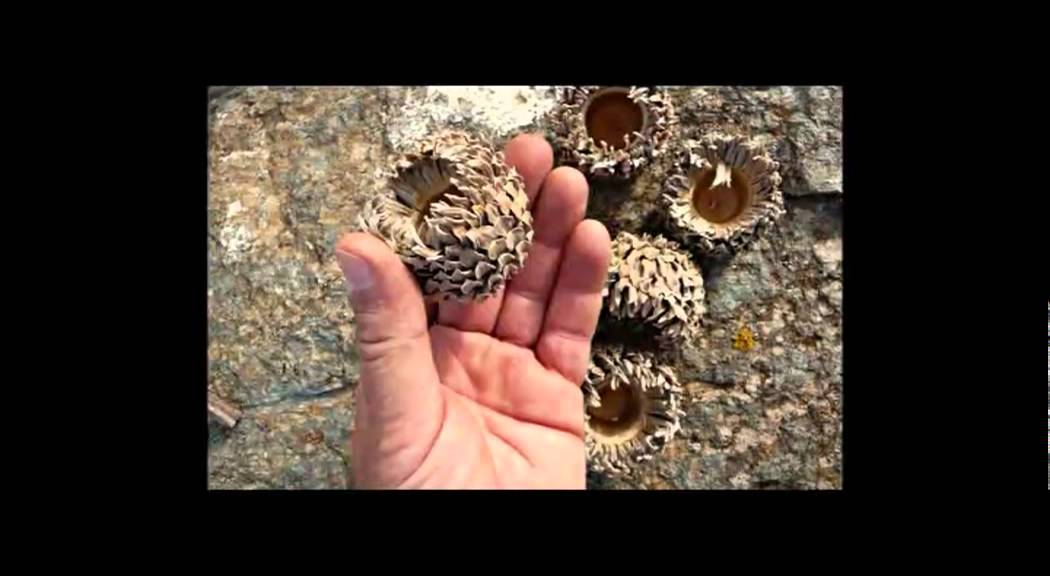 Think Differently and Make a Difference: Marcie Mayer at TEDxThessaloniki