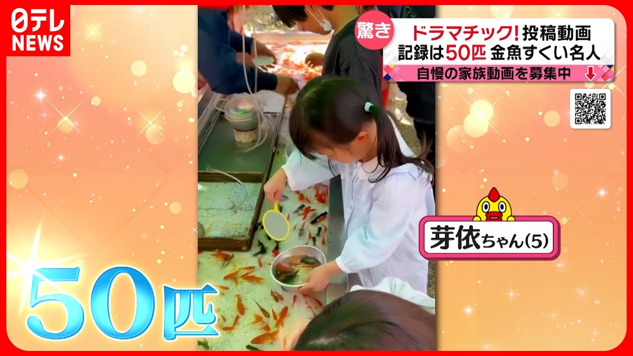 【投稿動画】５歳の女の子が金魚すくいで５０匹…『every.特集』