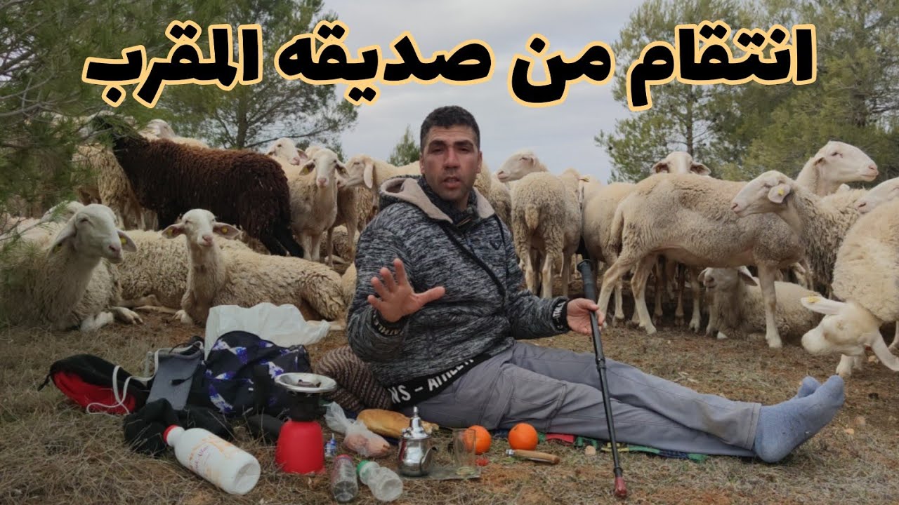 الحلقة 47: انتقام من صديقه المقرب... قصة للعبرة...