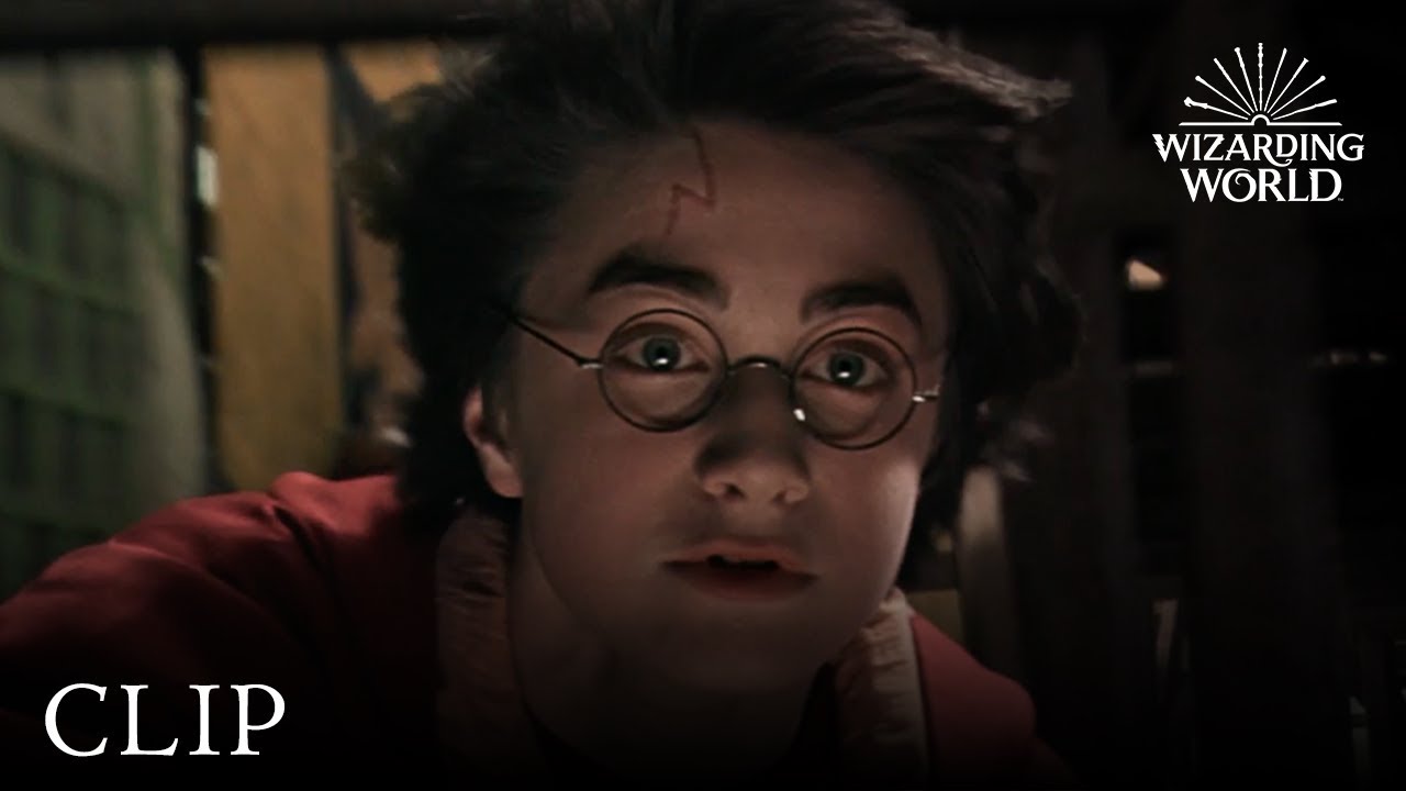 Battle of the Seekers | Harry Potter and the Chamber of Secrets