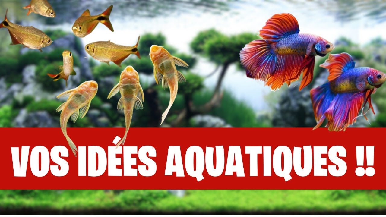 On a besoin de vous ! - FLORE-AQUATIQUE