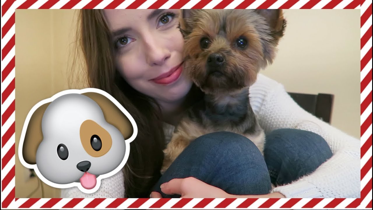 VLOGMAS 4 MOJE PSY 🐶