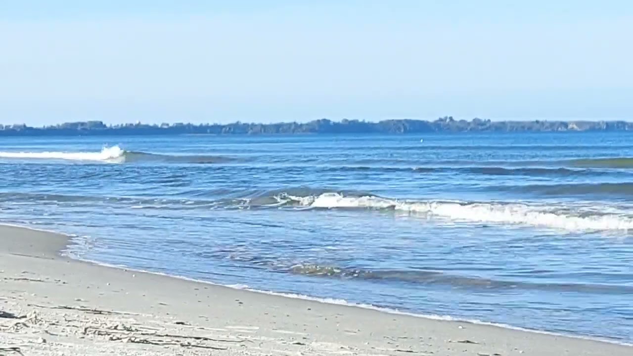 ASMR am Meer🌊mit der heilenden Wirkung der Alpha-Wellen Wellenrauschen|Flüstern|sanfte Musik...😴