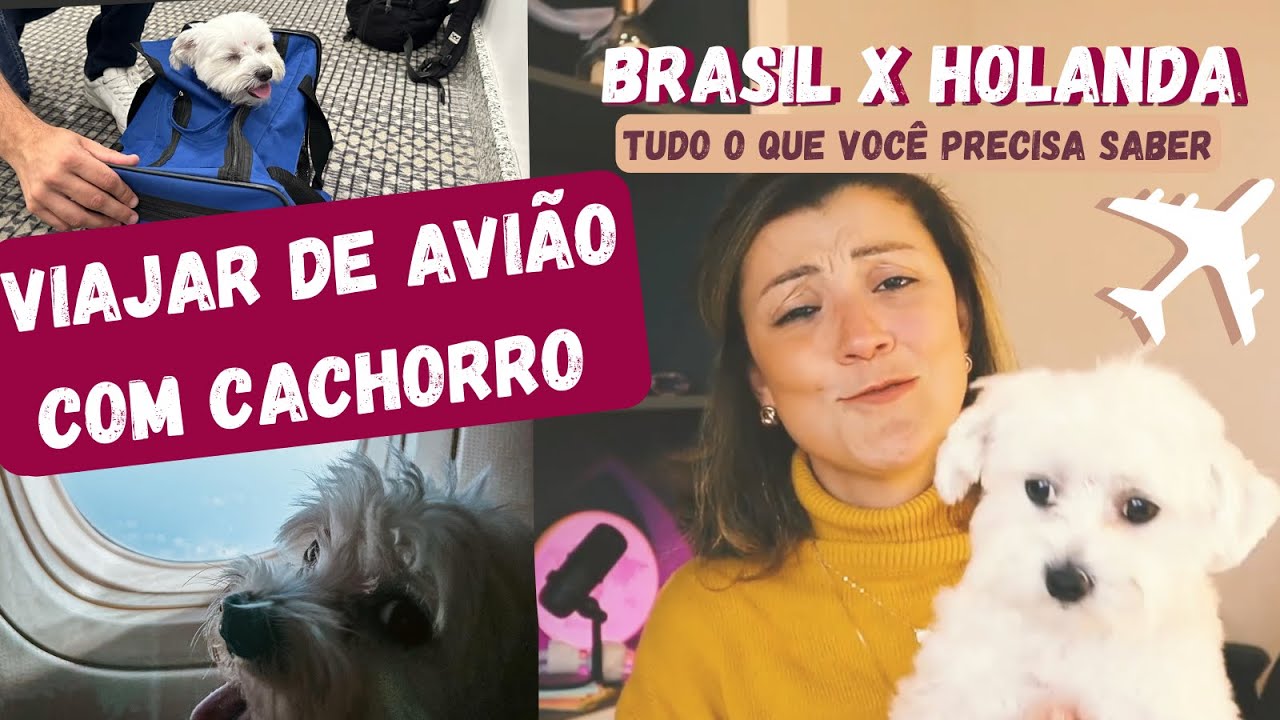 Como viajar com cachorro de avião | Brasil X Holanda