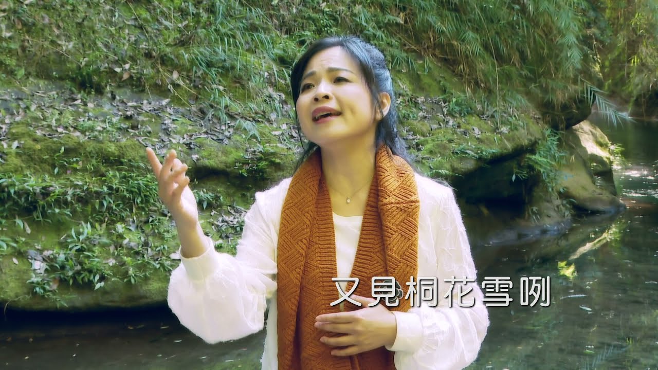 逸曲風雲【又見桐花雪】#客家音樂影像#楊咩咩##莊麗華導演