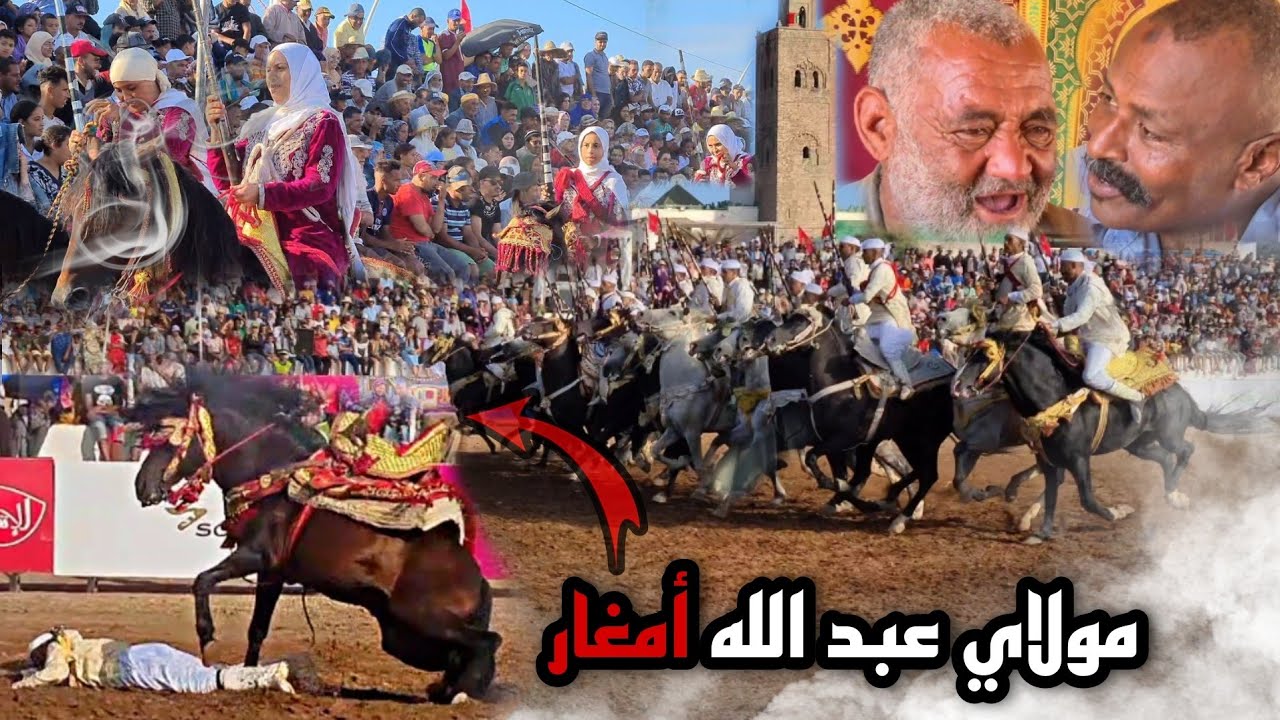 بدريس وطويجين موت ديال ضحك من موسم مولاي عبد الله... وشوفوا راجل لي طاح حفظوا الله 😔