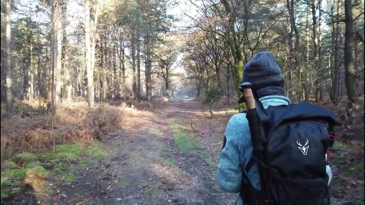 Wandern: DieTesterbergschlucht bei H&uuml;nxe