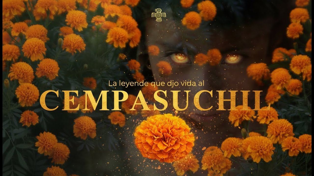🌼 La leyenda que dio vida al Cempasúchil | Tradición y Cultura con MAYABRAND