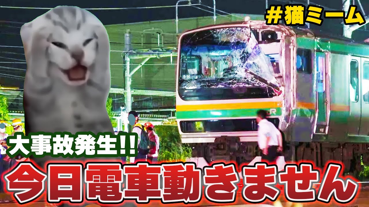 とんでもない事故で帰れなくなった猫 #猫ミーム