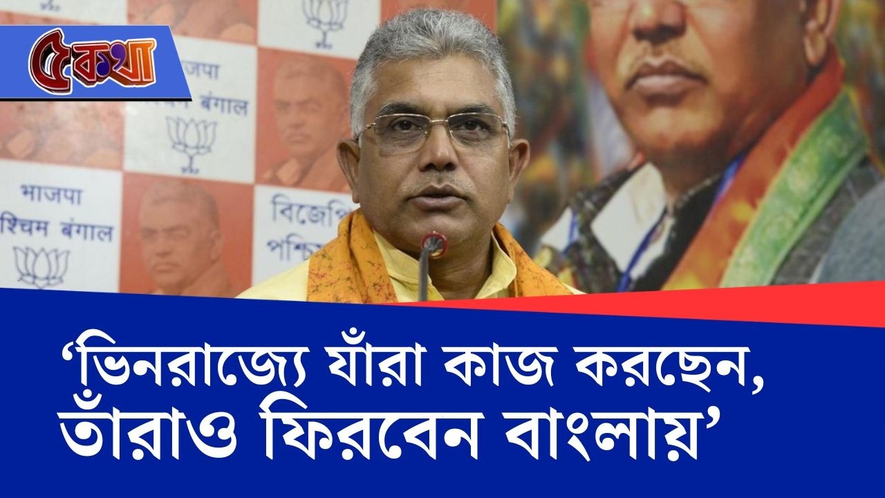 Dilip Ghsoh, WB Assembly Vote: মোদীজির সরকার গড়ে দিন, আপনাদের ভাতা নয়, বেতন দ্বিগুণ করে দেবে: দিলীপ