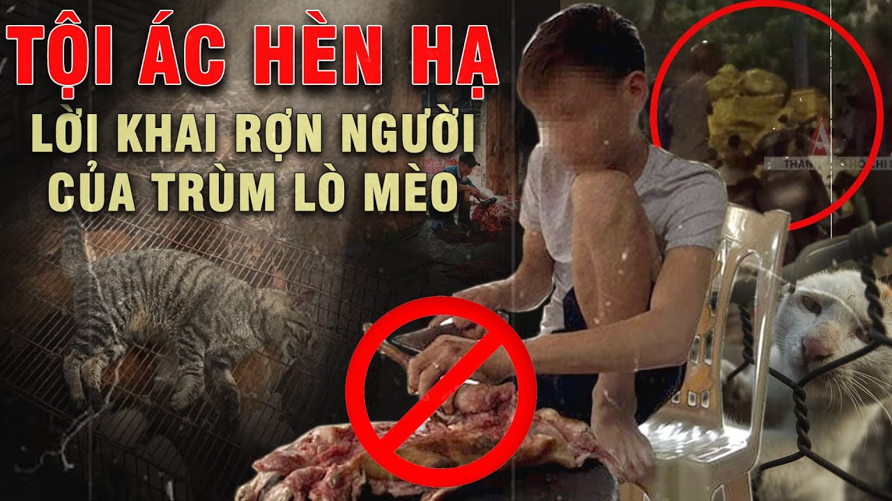 ĐIỀU TRA ĐỘC QUYỀN: Bóc Gỡ Đường Dây Trộm Mèo Khủng: Gần 40 Trinh Sát Đột Kích Lò Tiêu Thụ Mèo!