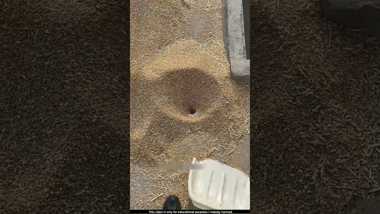 This small hole on house rooftops is very useful 😱l 