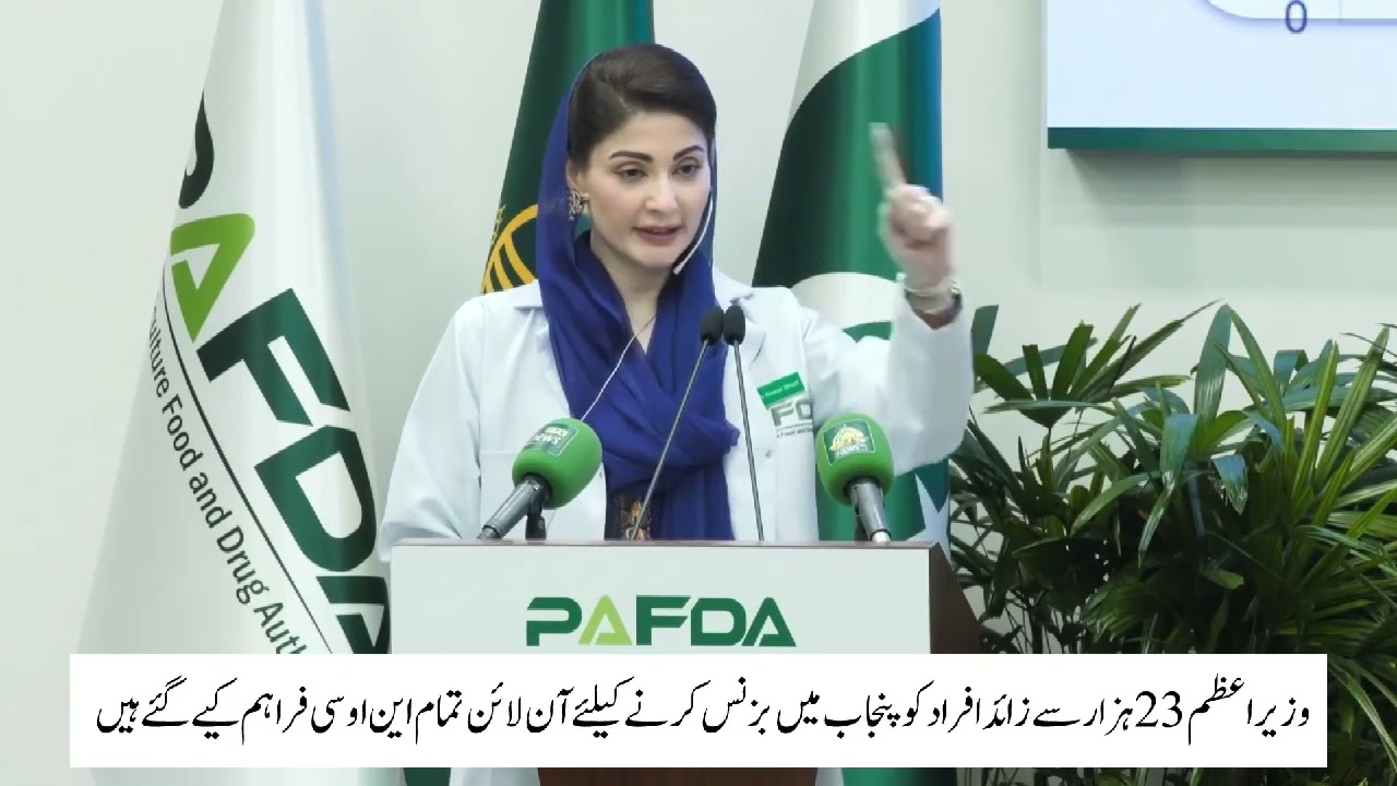The e-business system was launched 60 days ago, said CM pungab Maryam Nawaz 