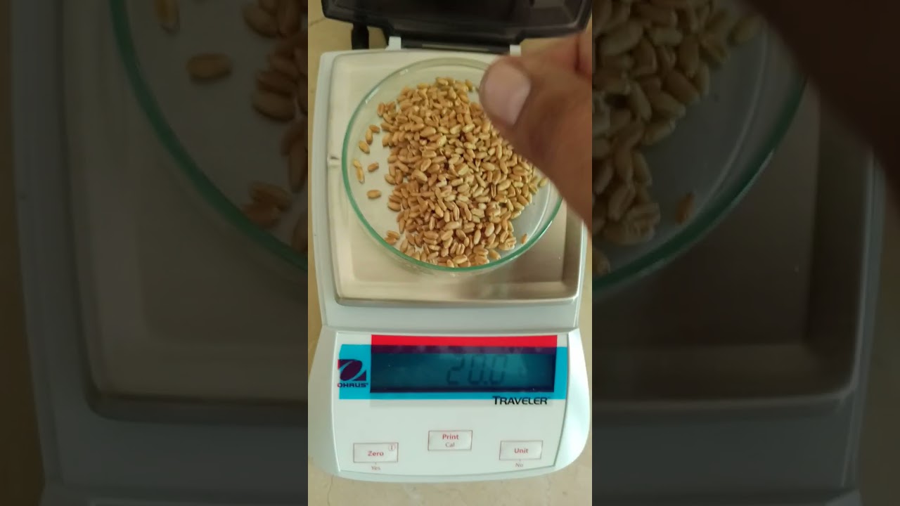 seed physical purity analysis full